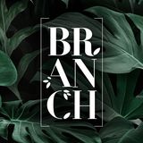 ΚΑΦΕΤΕΡΙΑ CAFE BAR BRANCH ΠΑΝΟΡΜΟΥ ΑΜΠΕΛΟΚΗΠΟΙ ΑΤΤΙΚΗ