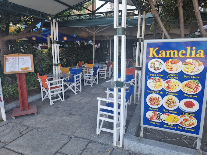 ΕΣΤΙΑΤΟΡΙΟ ΚΑΦΕΖΑΧΑΡΟΠΛΑΣΤΕΙΟ ΚΑΜΕΛΙΑ ΚΩΣ ΔΩΔΕΚΑΝΗΣΑ ΧΑΤΖΗΠΥΛΙΩΤΗΣ ΠΑΝΑΓΙΩΤΗΣ ΚΑΙ ΣΑΒΒΑΣ ΟΕ