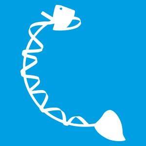 ΨΑΡΟΤΑΒΕΡΝΑ ΕΣΤΙΑΤΟΡΙΟ ΘΑΛΑΣΣΙΝΩΝ SEA FOOD RESTAURANT MARINA ΝΕΑ ΠΟΤΙΔΑΙΑ ΧΑΛΚΙΔΙΚΗ ΚΑΝΑΚΑΡΗΣ ΚΩΝ.