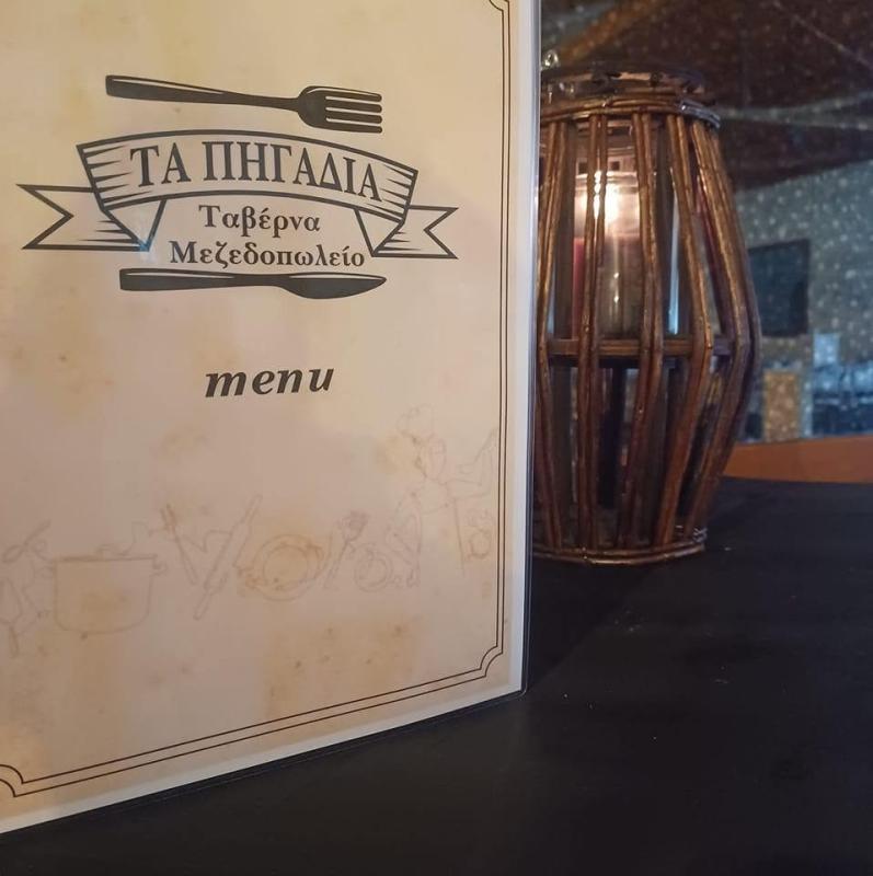 ΜΕΖΕΔΟΠΩΛΕΙΟ ΤΑ ΠΗΓΑΔΙΑ ΠΟΛΙΑΝΗ ΘΟΥΡΙΑ ΜΕΣΣΗΝΙΑΣ
