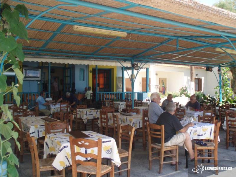 ΨΑΡΟΤΑΒΕΡΝΑ ΤΑΒΕΡΝΑ ΜΟΥΡΑΓΙΟ ΕΡΕΣΟΣ ΛΕΣΒΟΣ